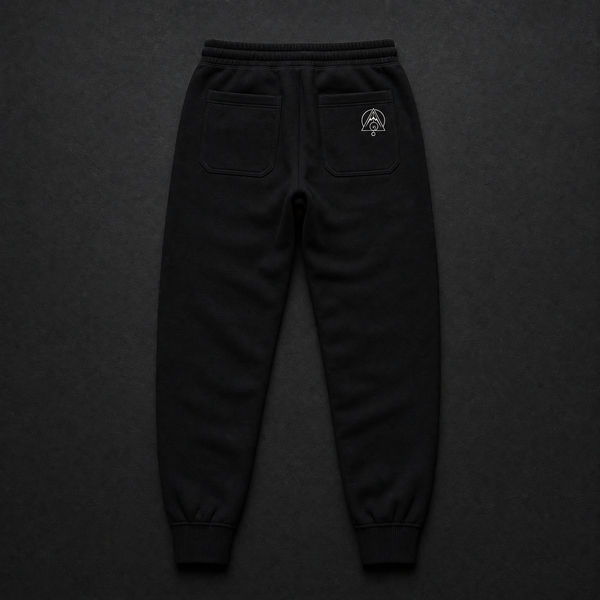 Torus Jogger Pants Back