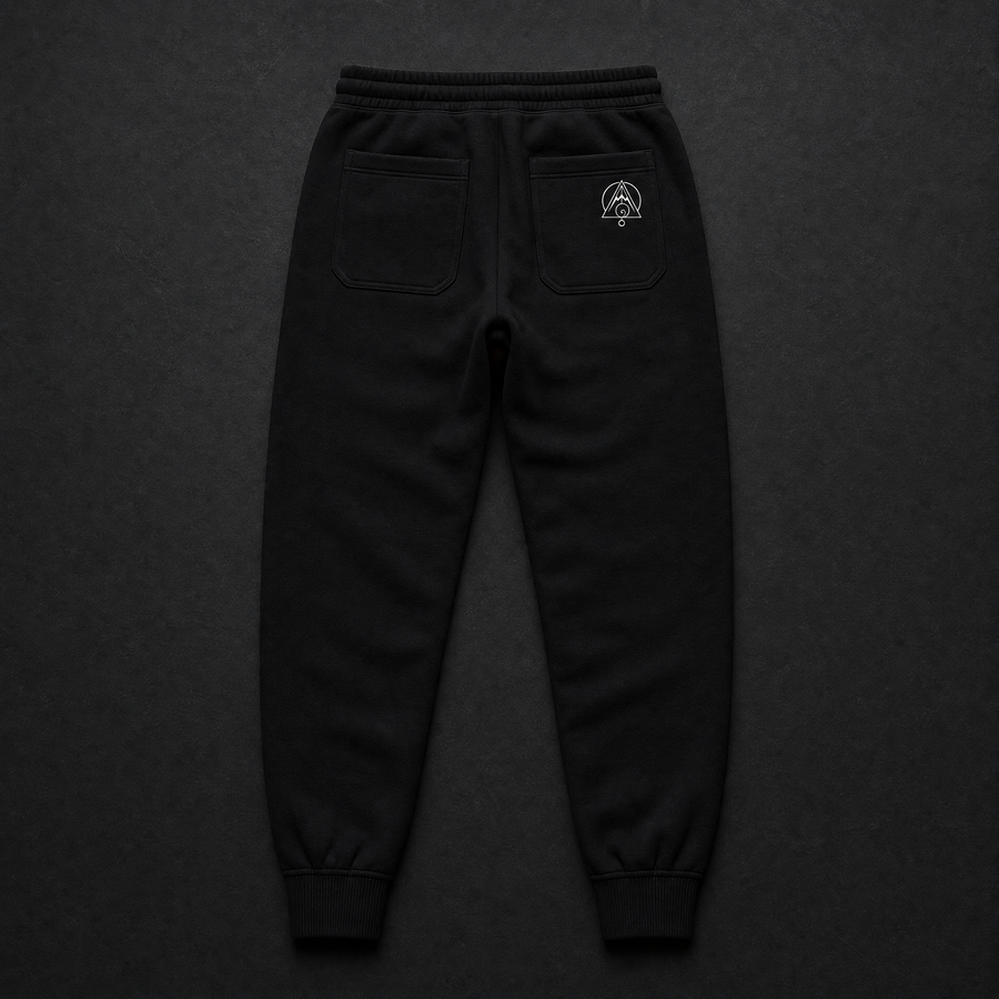 Torus Jogger Pants Back